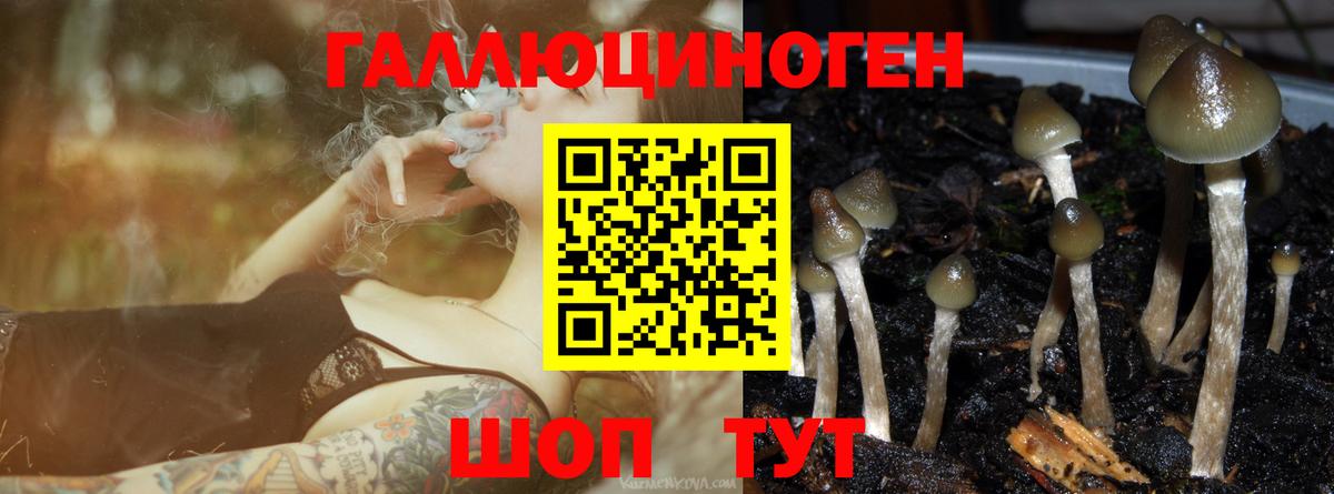 Галлюциногенные грибы прущие грибы Реутов